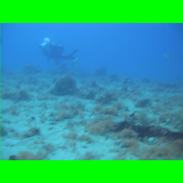 Dive WP Wrecks 25-Oct-09_418.JPG